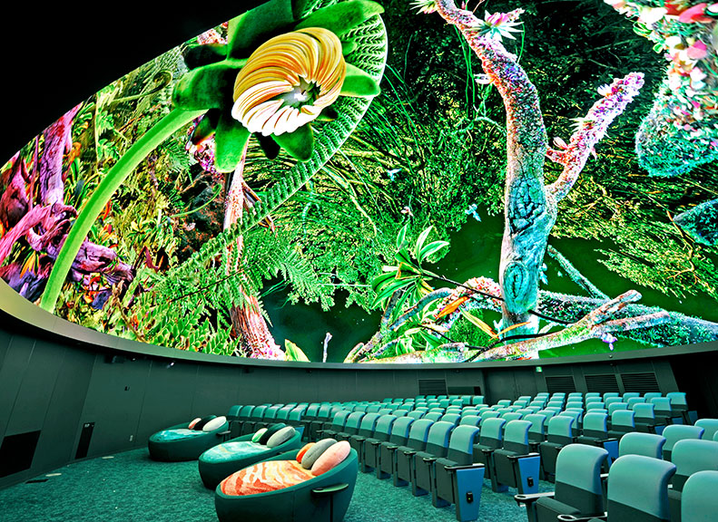 Diverse Visual Content for Every Feeling and Occasion