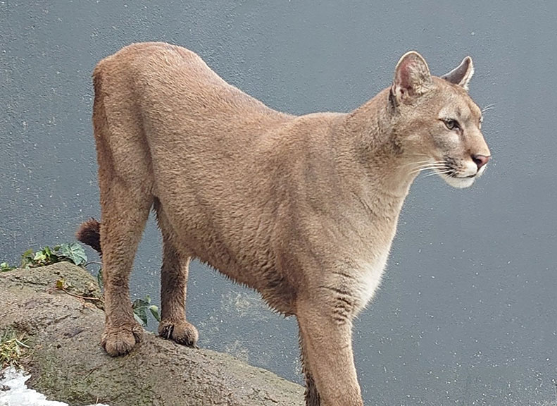 Victoria Area Offering a Relaxed Walking Route