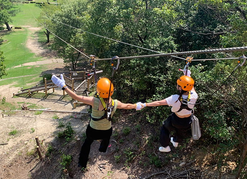 Glide Above the Trees Experience the Zipline Rush