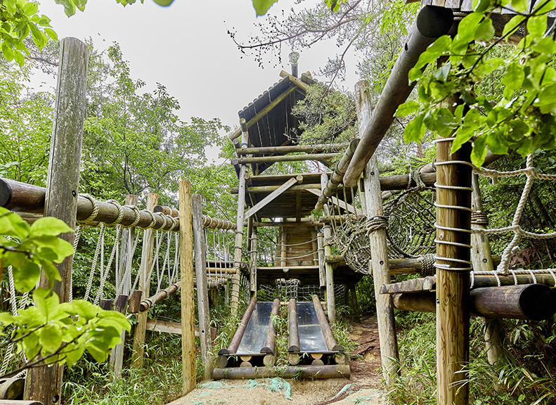 On an Active CourseTake on About 30 Playground Equipment