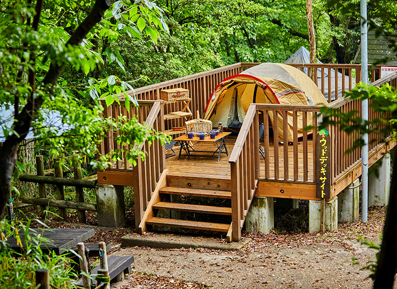 A Variety of Campsites Perfect for Day Trips Too