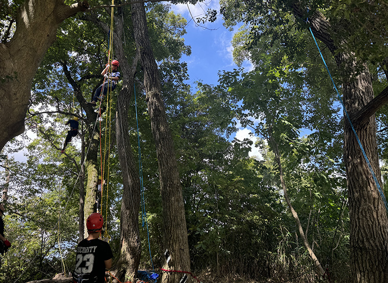 Tailored Programs for Big Group Fun