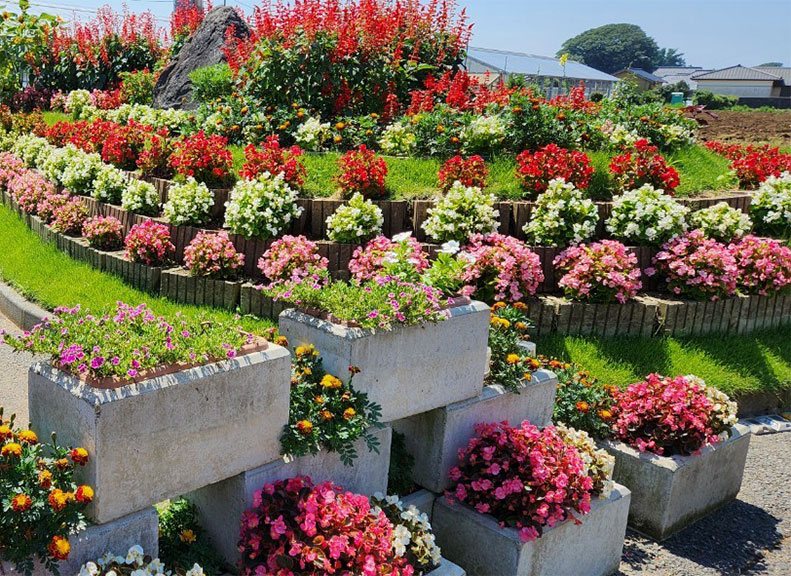 Supporting the Community Through Flower Planting