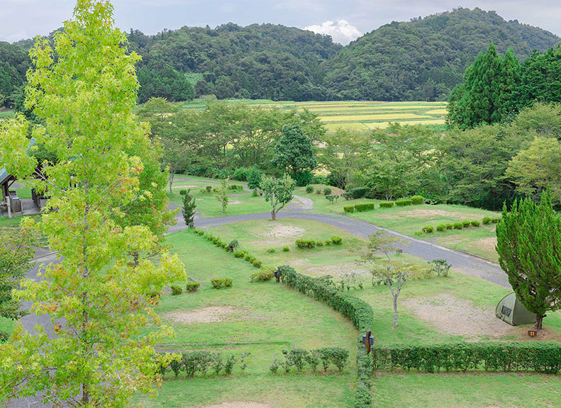 A Family-Friendly Campsite Offering Multiple Options