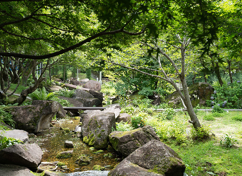 Forest Blessings in Ever-Changing Seasonal Scenery