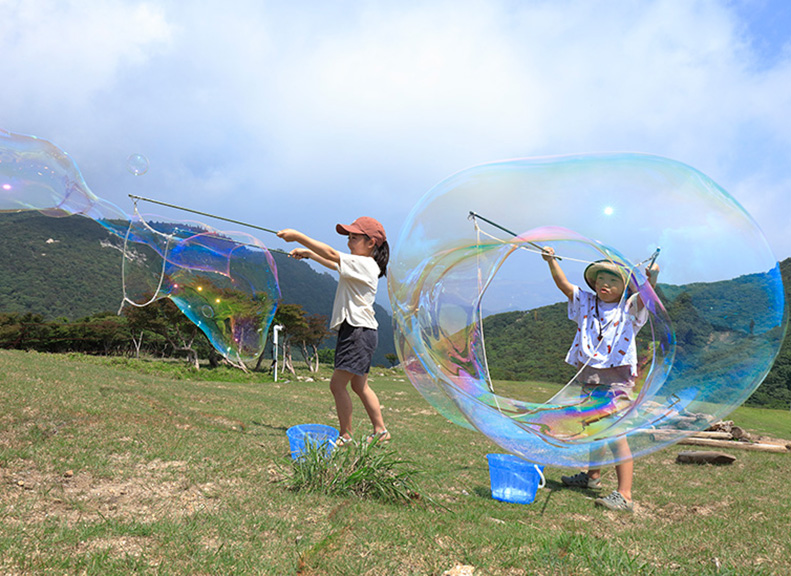 Scenic Summit Views Enhanced by the Swing Ride