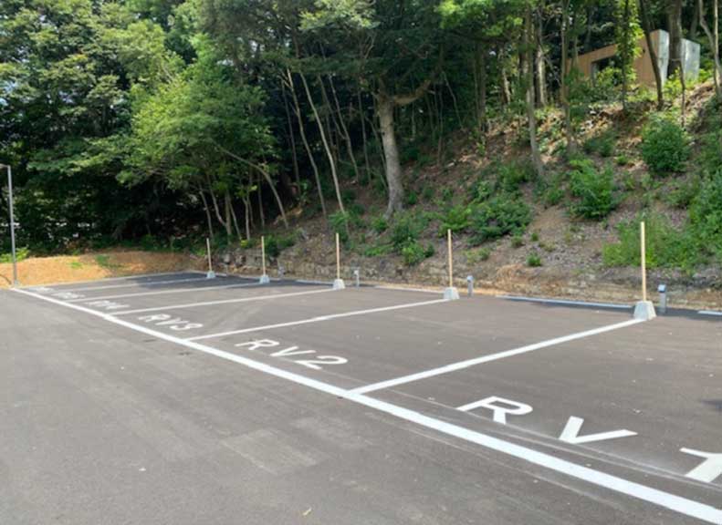 A Forest Campsite Accessible by Car