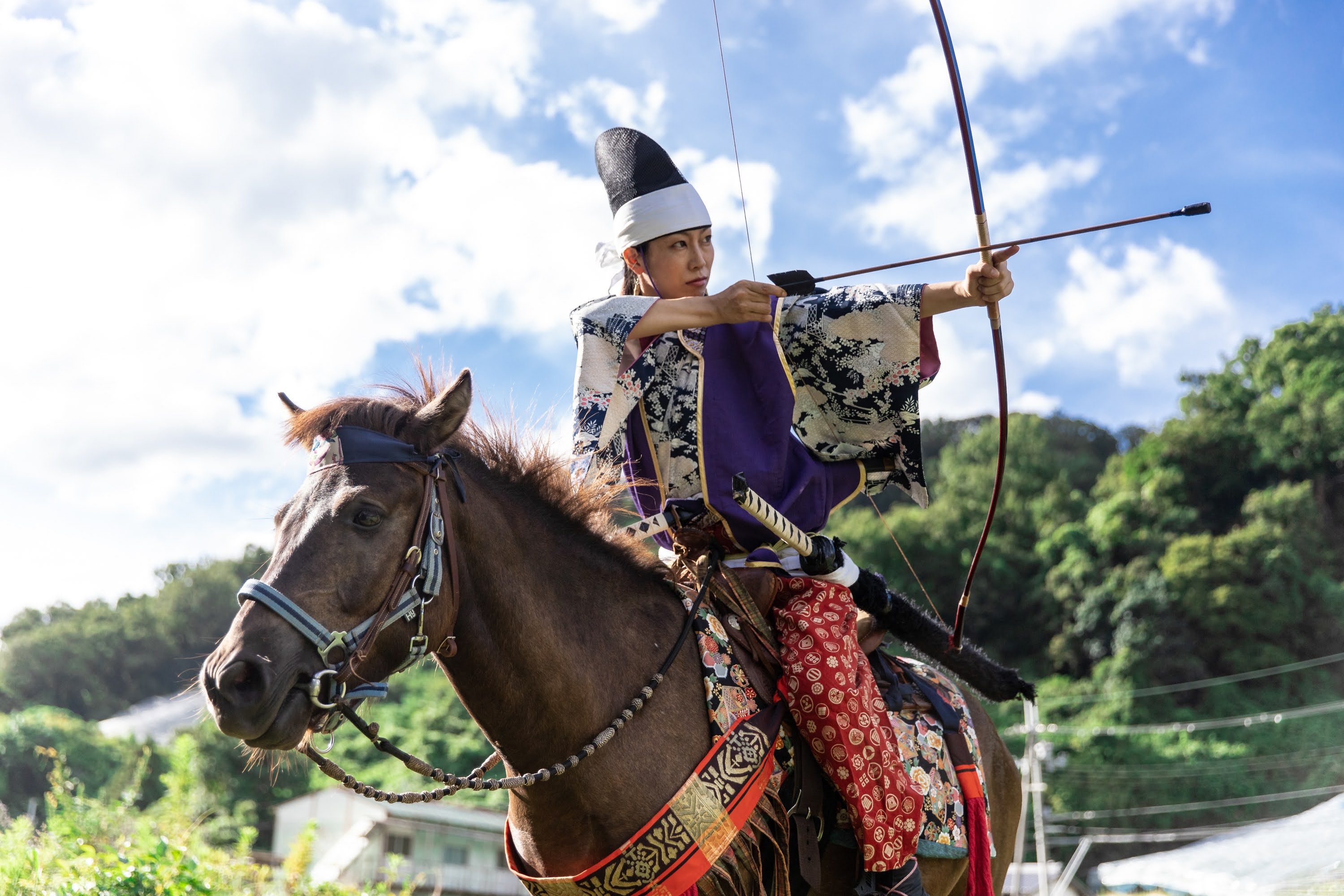 Japanese Stallion Horse Land