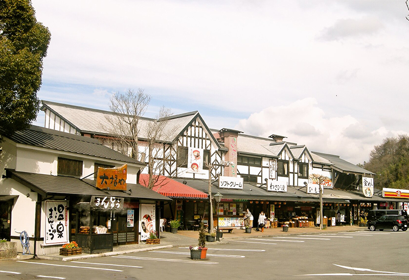 Drive-in Ichigo Plaza