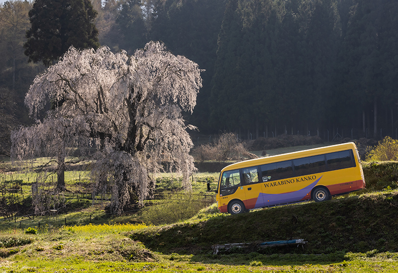 Warabino Tourism Co., Ltd.