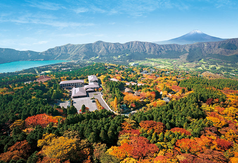 Hotel Green Plaza Hakone