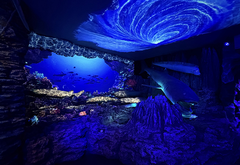Numazu Port Deep Sea Aquarium Coelacanth Museum