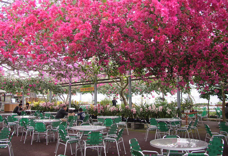 Nishijima Horticultural Park