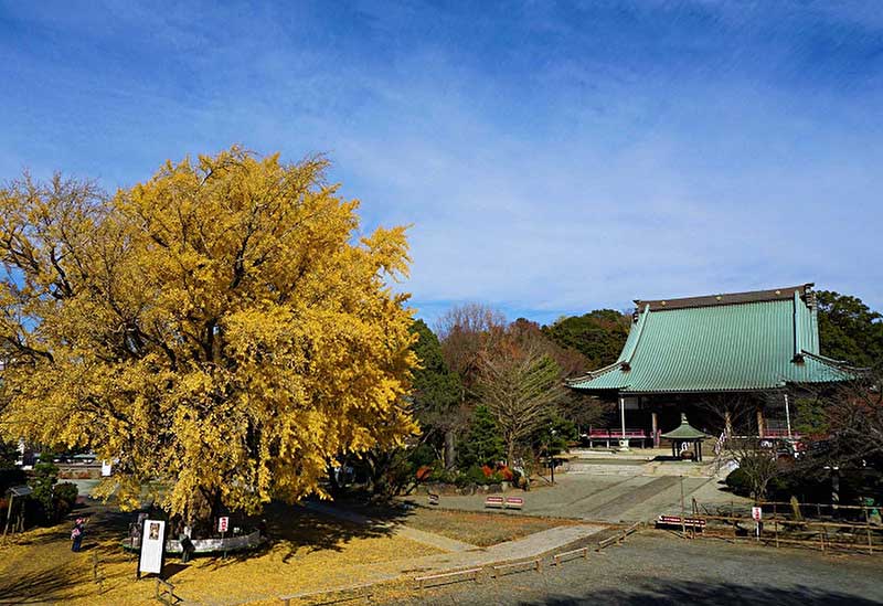 Fujisawa Yugyoji Temple