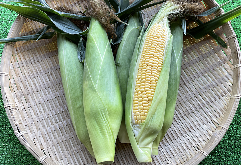 Roadside Station Kiso Fukushima