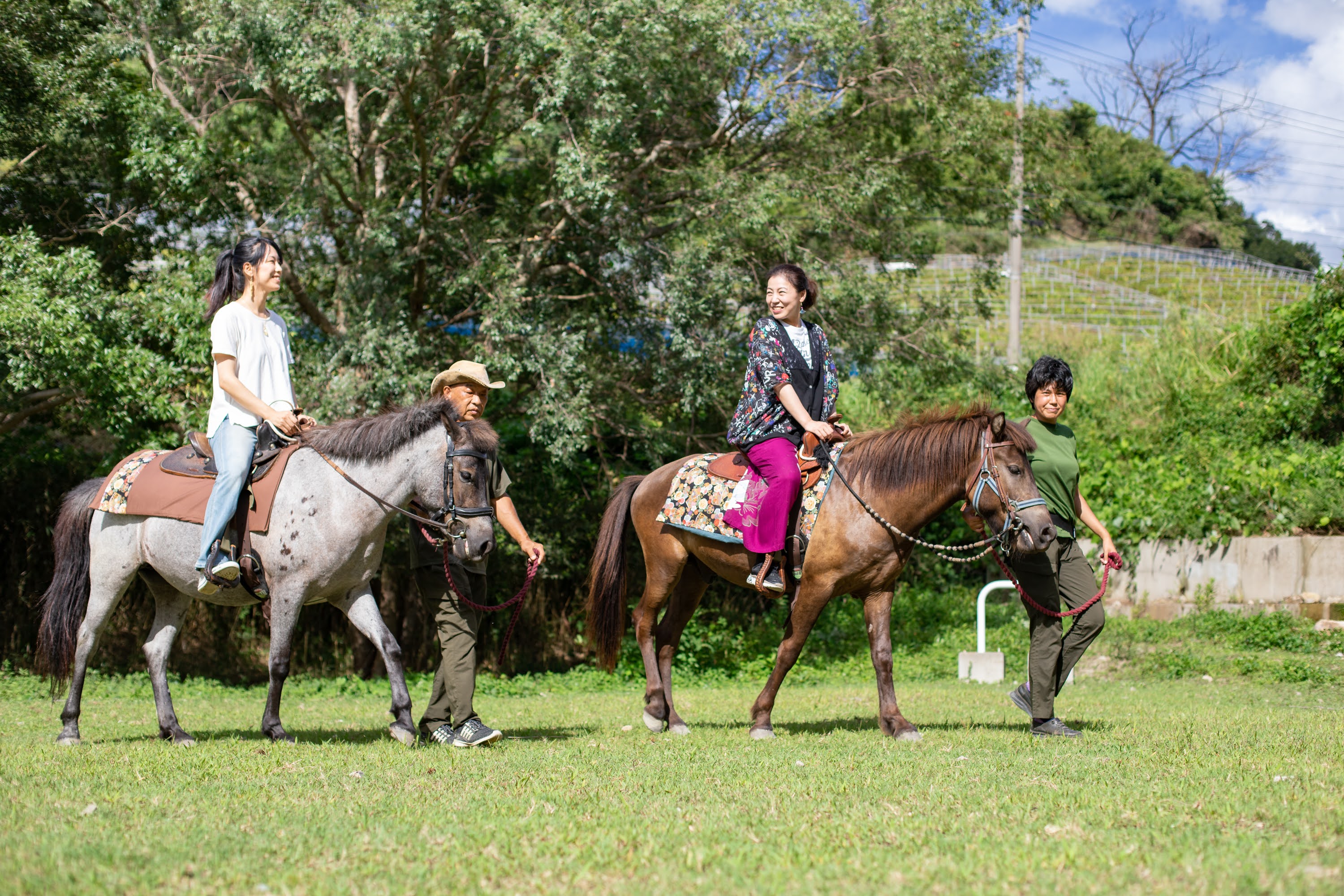 Japanese Stallion Horse Land