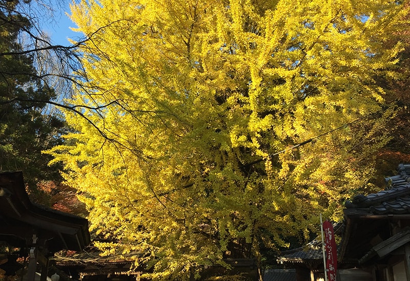 Iwama-san Shōhō-ji Temple, the 12th Holy Site of the Saikoku 33 Kannon Pilgrimage