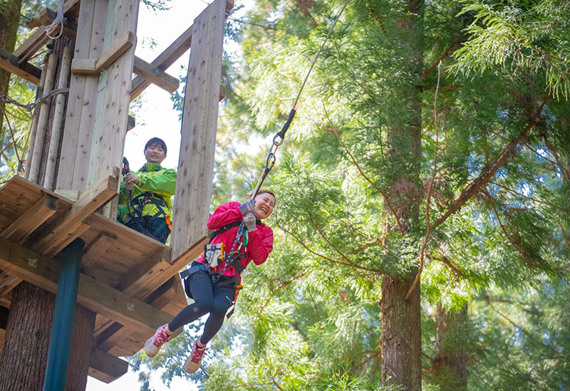 Forest Adventure Kochi