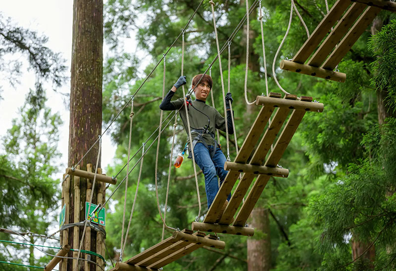 Forest Adventure Kochi