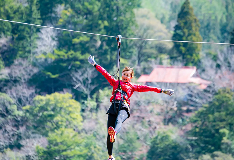 Forest Adventure Kochi