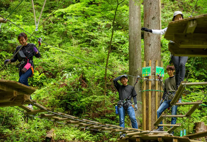 Forest Adventure Kochi