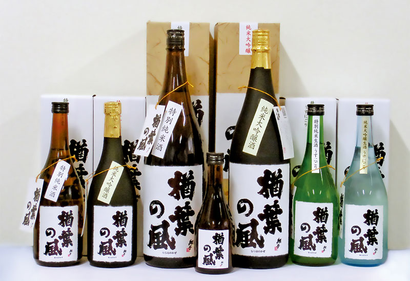 Roadside Station Naraha