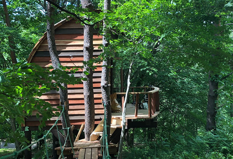 TREEHOUSE INAWASHIRO 