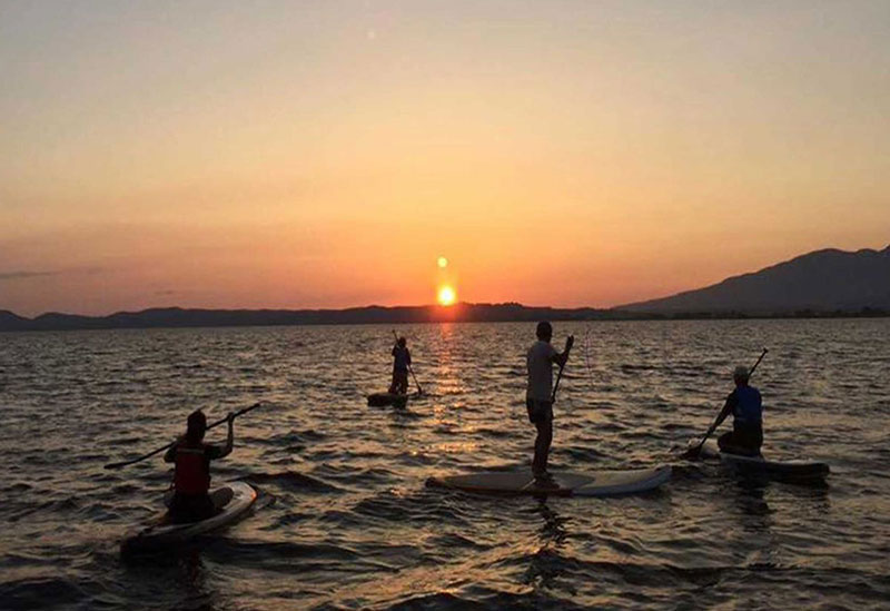 TREEHOUSE INAWASHIRO 