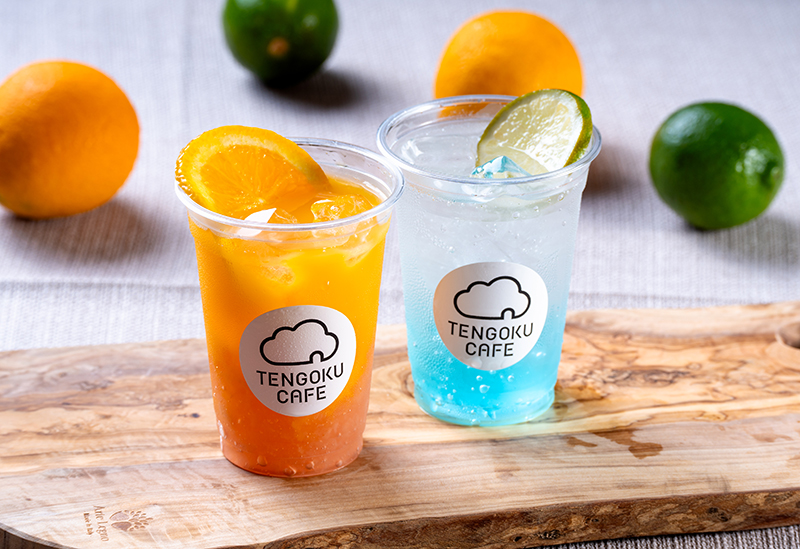 Jukkoku Pass Panorama Cable Car