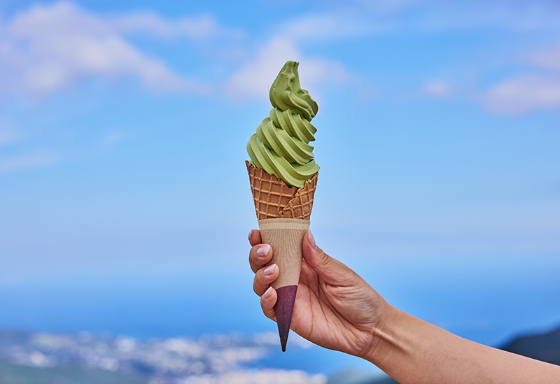 Jukkoku Pass Panorama Cable Car