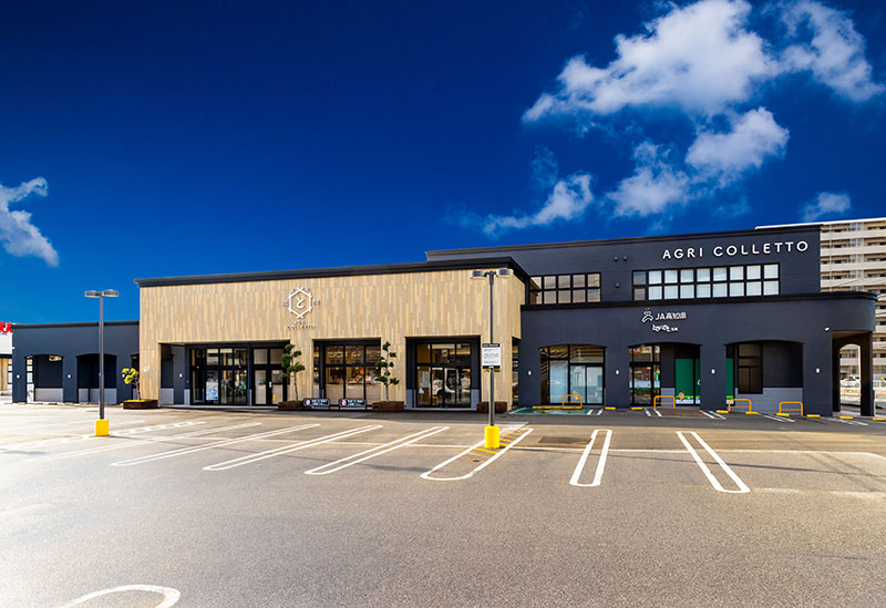 Tosanosato AGRI COLLETTO