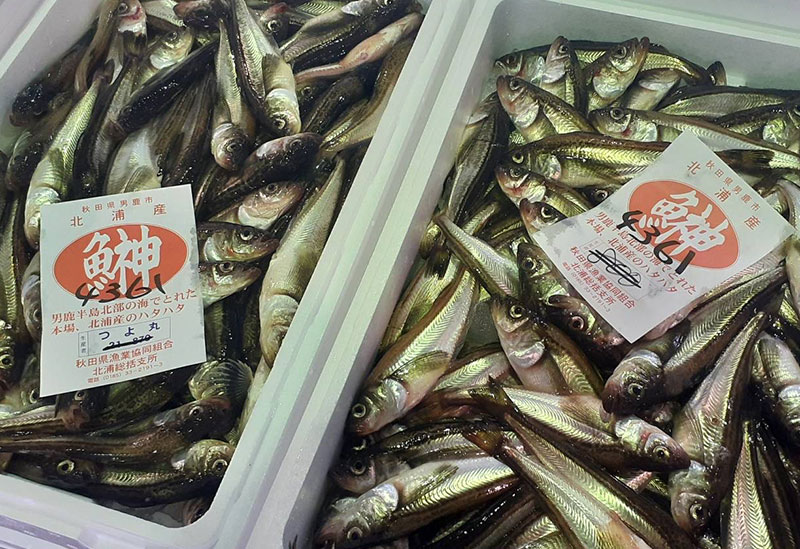 Hamanasu Local Products Center