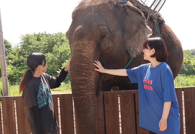 Nasu World Monkey Park