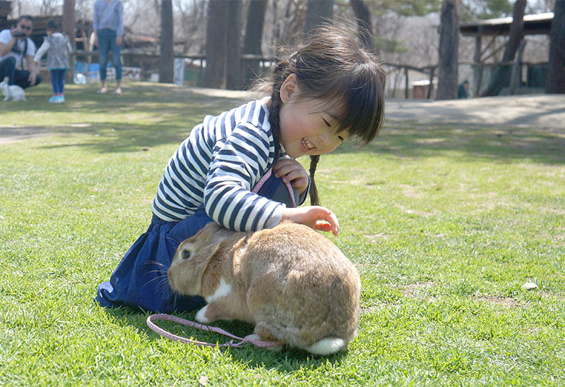 Nasu Highlands Minamigaoka Ranch