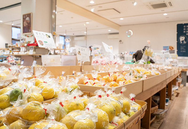 Roadside Station Takehara