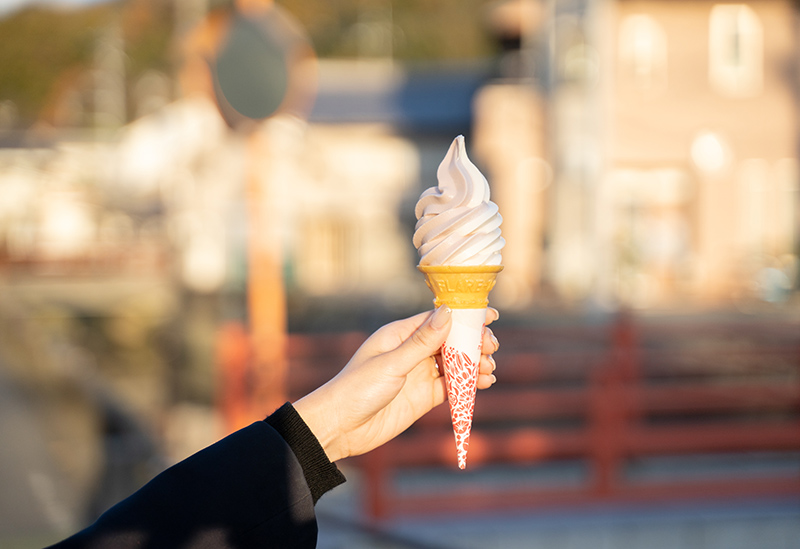 Roadside Station Takehara