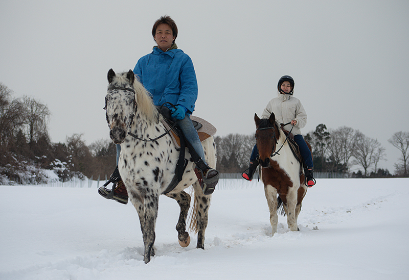 Misawa Horse Park