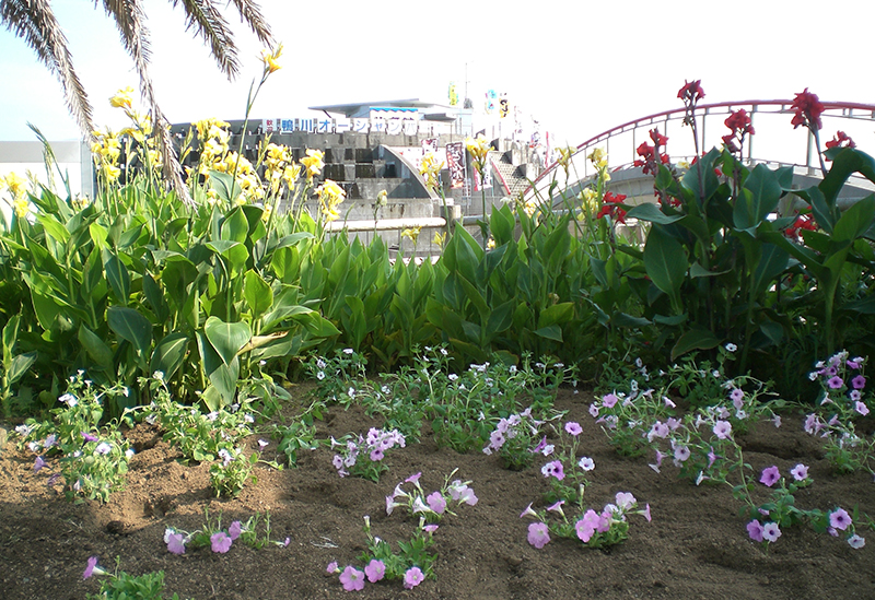 Kamogawa Ocean Park, Roadside Station