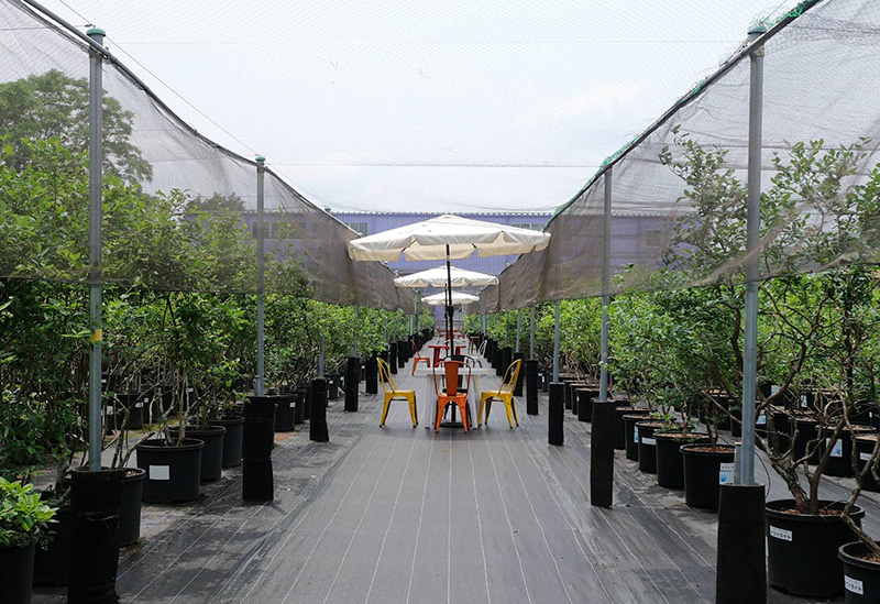 Blueberry Factory Gifu