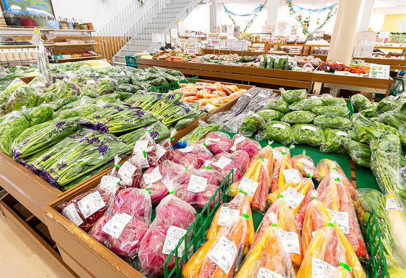 Ogata Roadside Station