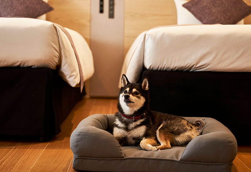 DEL style 大阪心斎橋 by Daiwa Roynet Hotel