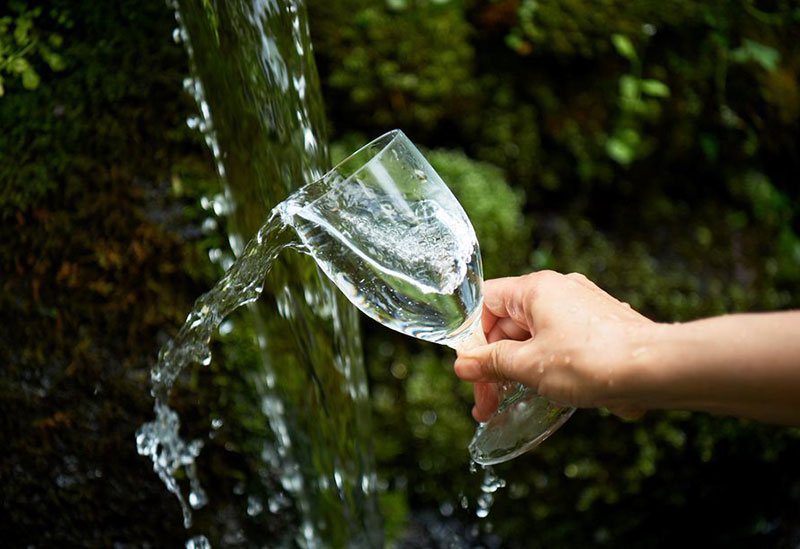 Home Roasted Coffee Café Mocha