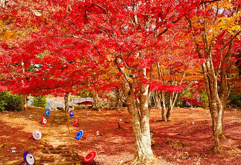 Tsuchitsu Shrine - God of Children and Success