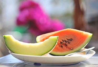 Nishijima Horticultural Park