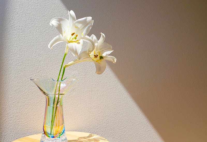 Studio iiro