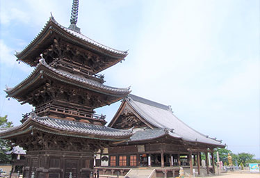 Mt. Koya, the special head temple of the Shingon sect, Mt. Kinryo, Saidaiji Temple