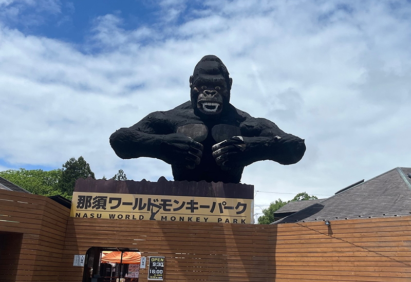Nasu World Monkey Park