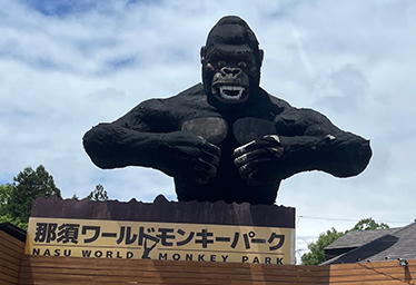 Nasu World Monkey Park