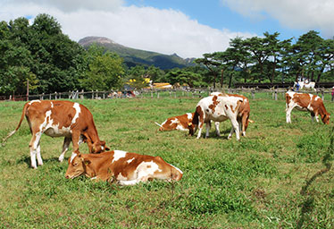 Nasu Highlands Minamigaoka Ranch
