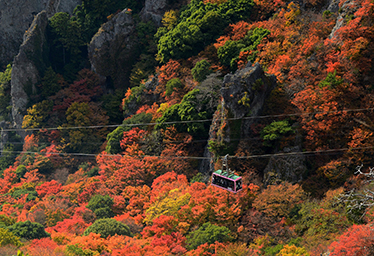 Kankakei Ropeway